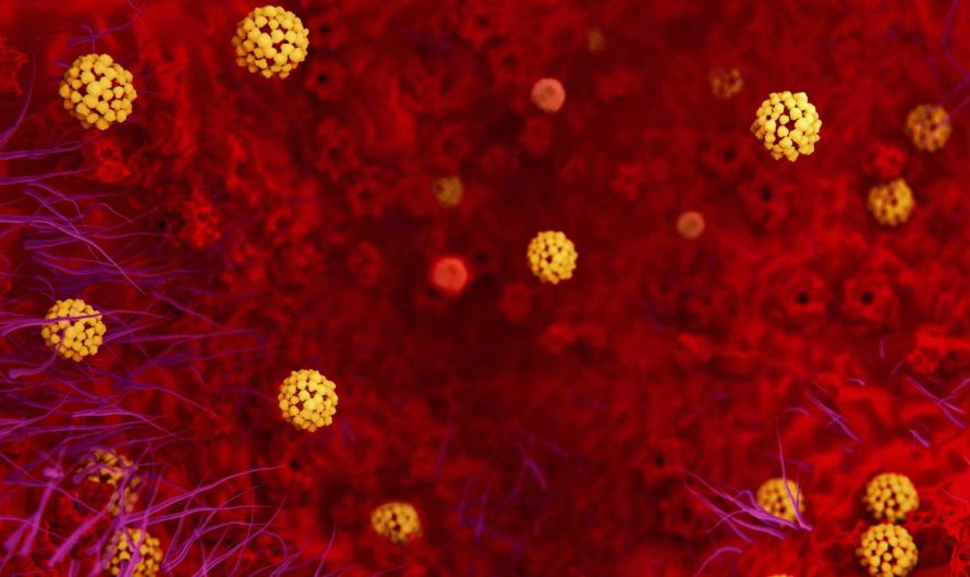 El nuevo coronavirus pone en alerta máxima a la población mundial